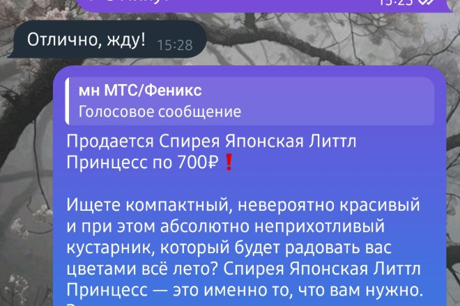 Набор текста с аудио/видео