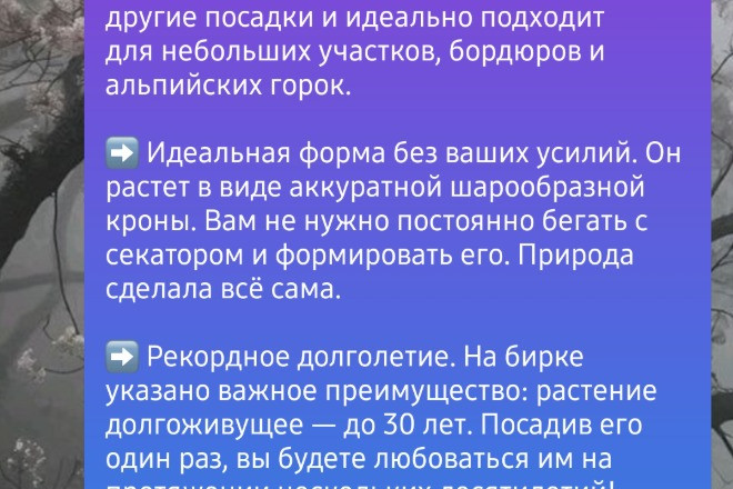 Набор текста с аудио/видео