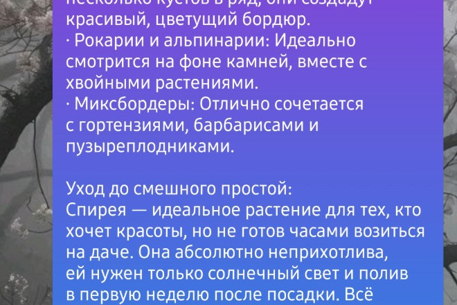 Набор текста с аудио/видео