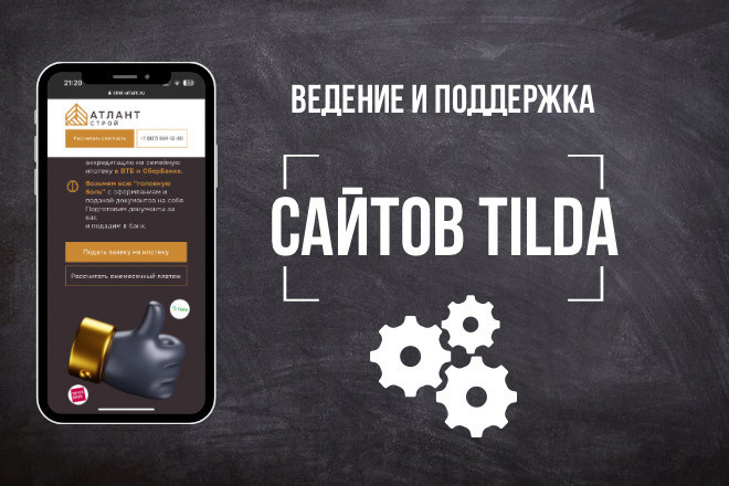 Ведение и поддержка сайтов на Tilda