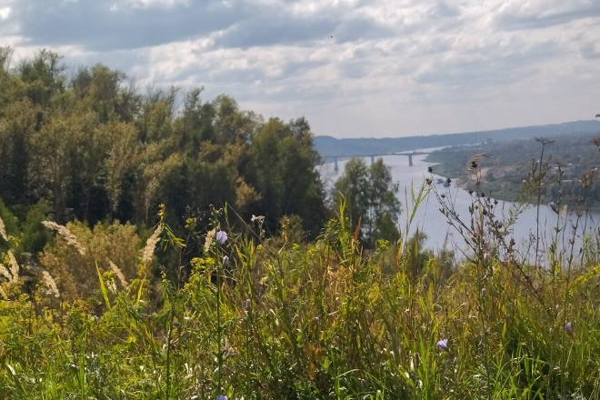 Сделаю рилс, сниму видео в Нижнем Новгороде.