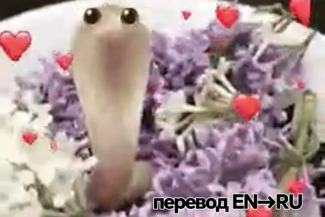 могу перевести текст с английского на русский
