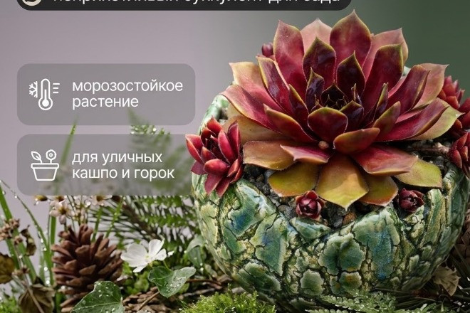 Создание карточек и видео товаров