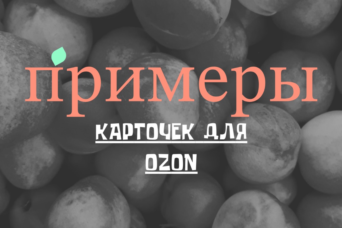 portfolio-cover