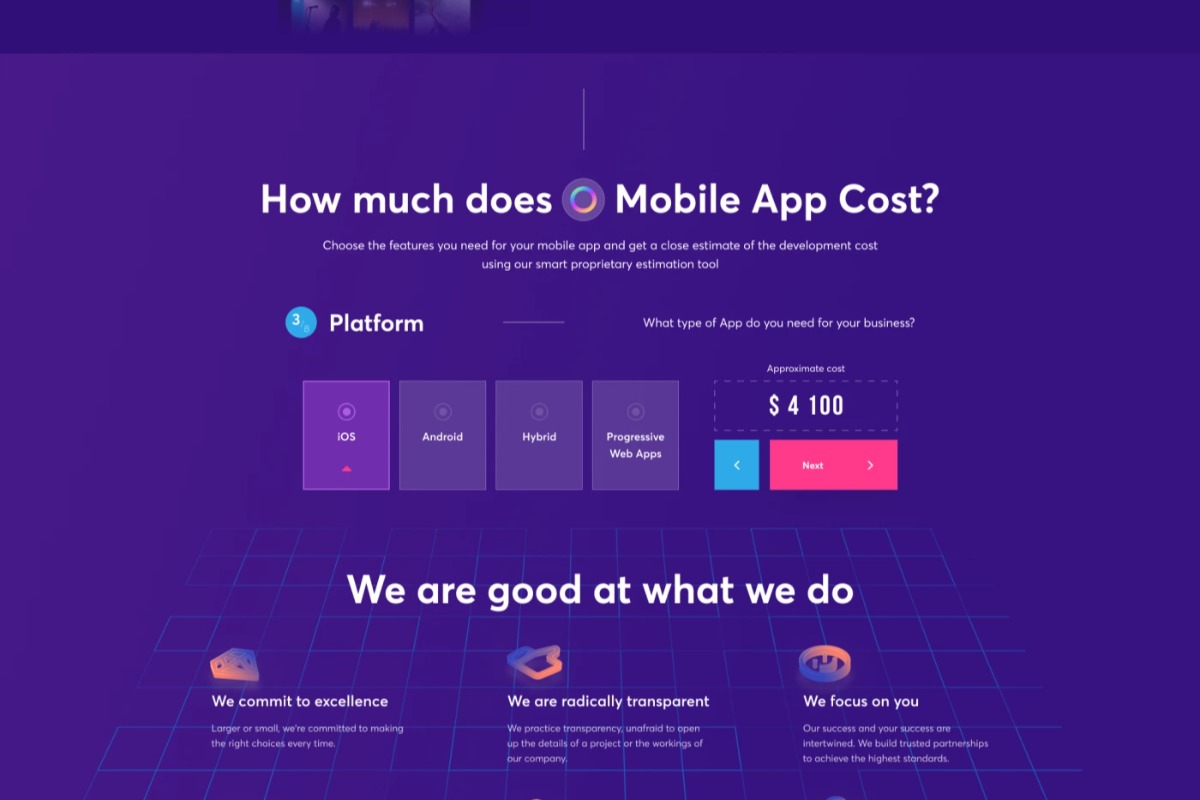 Работа из портфолио