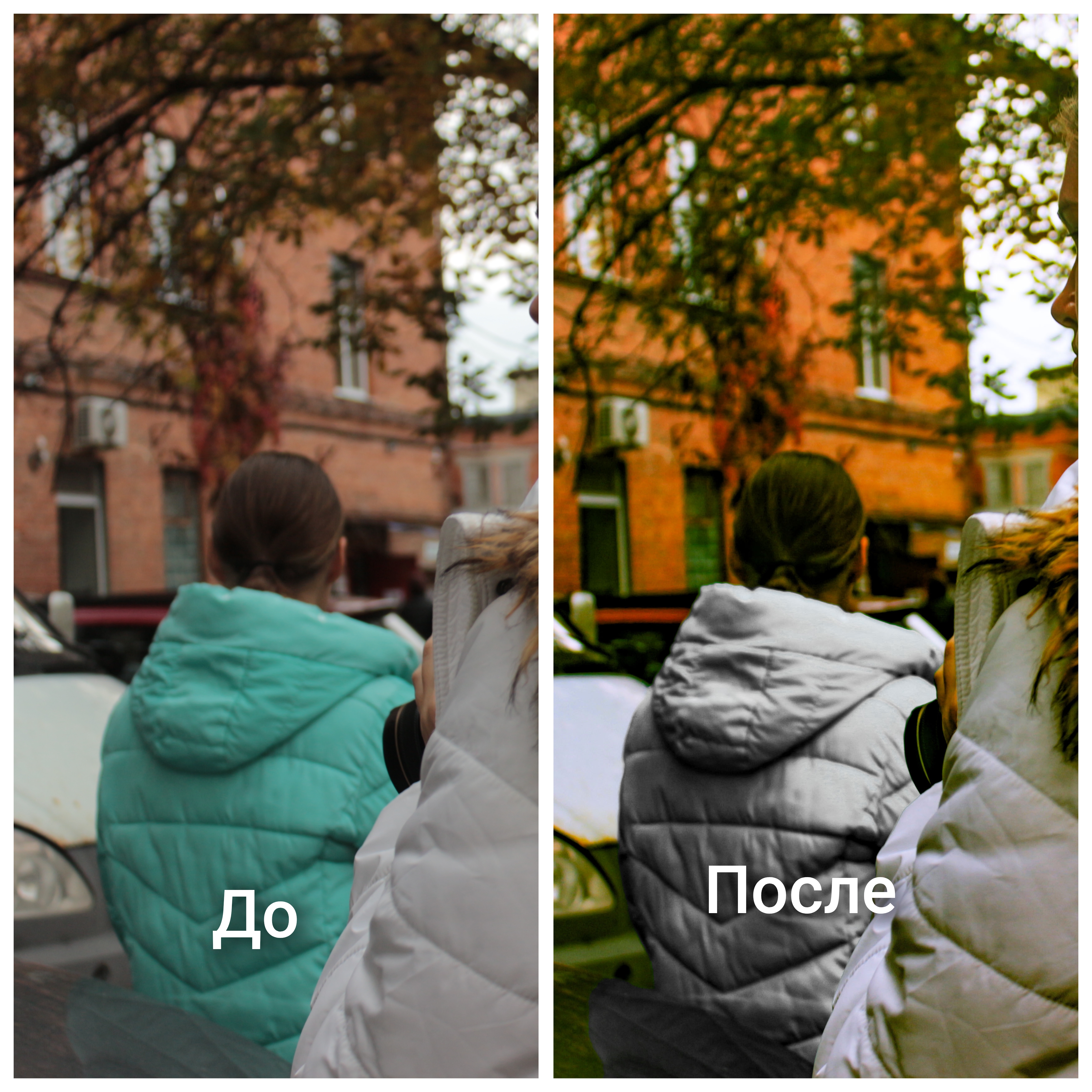 Работа 1