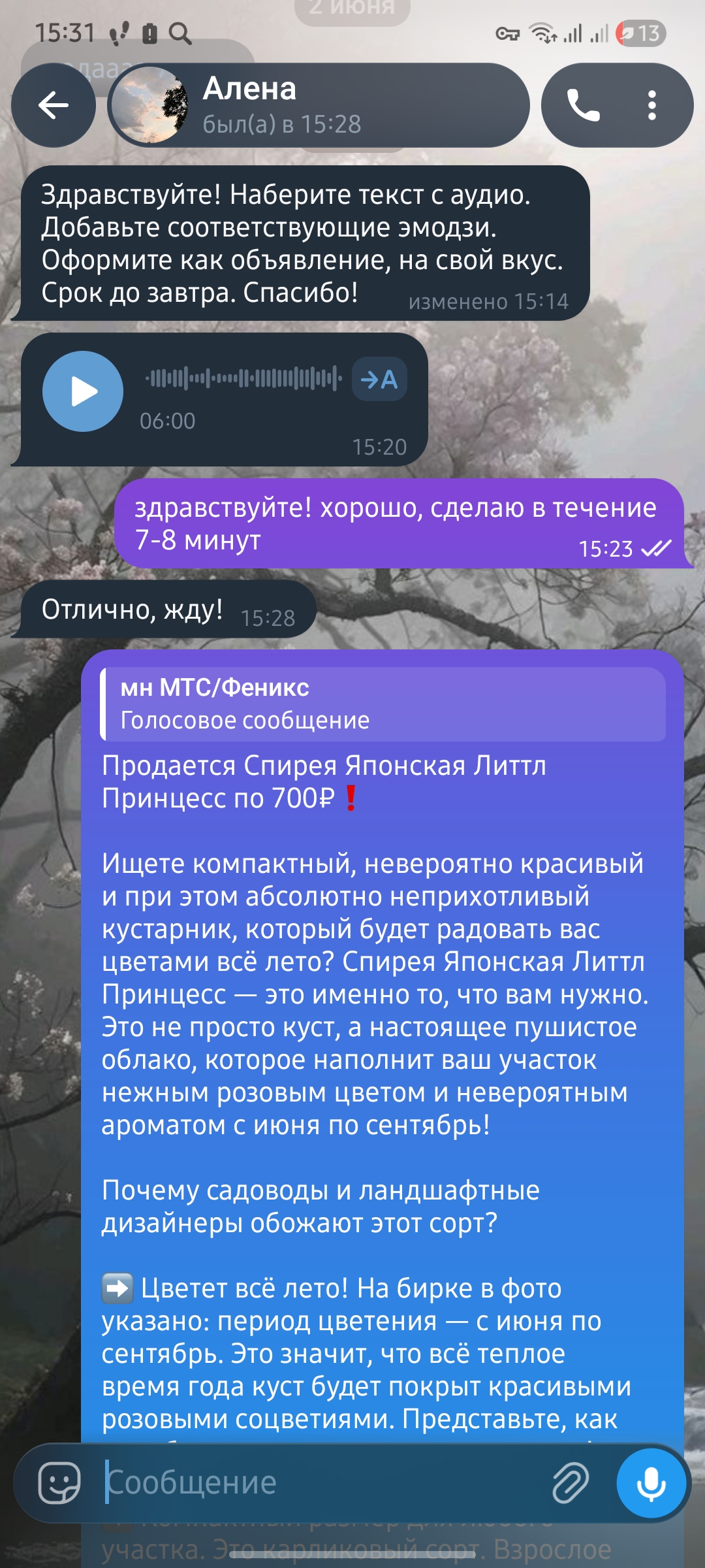 работа 1