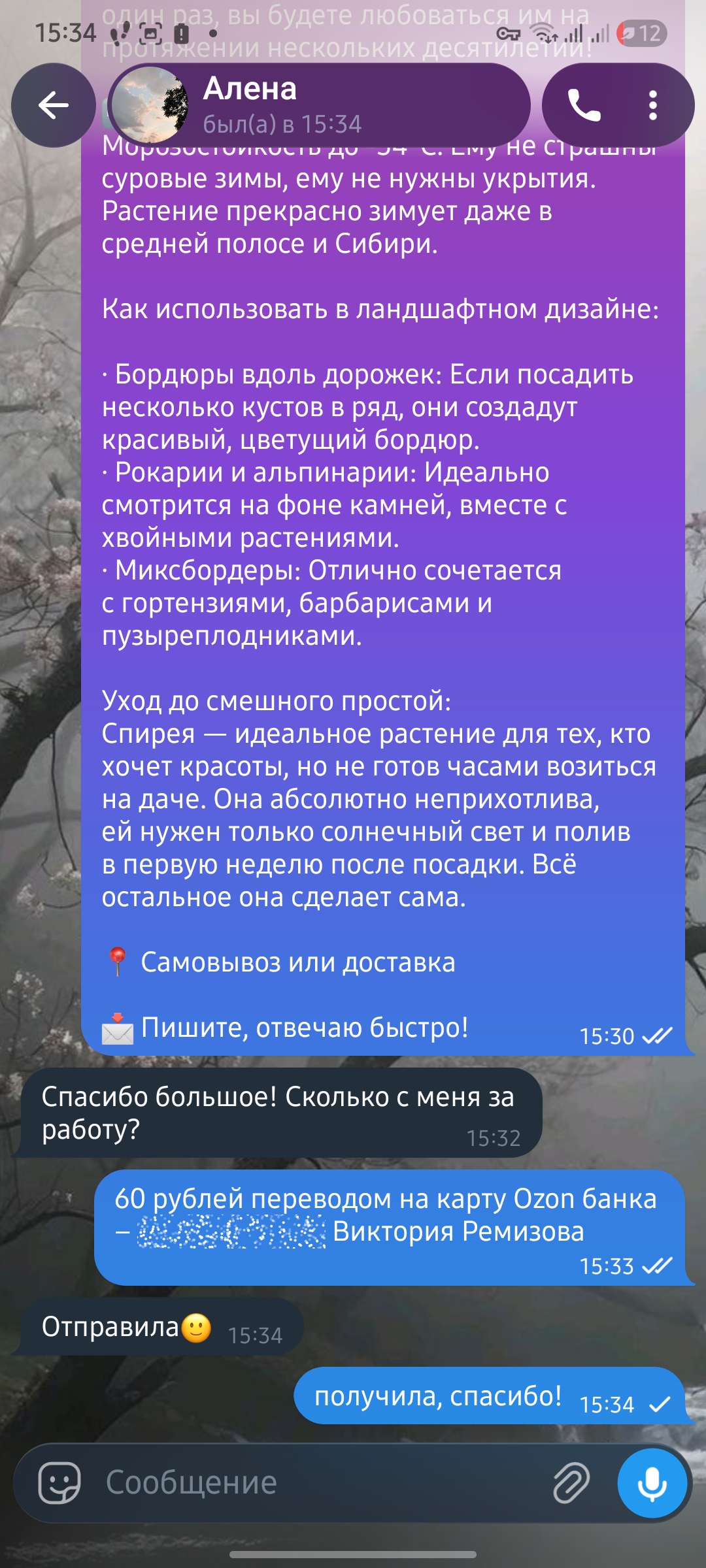работа 1